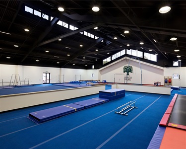 Gymnastics.jpeg