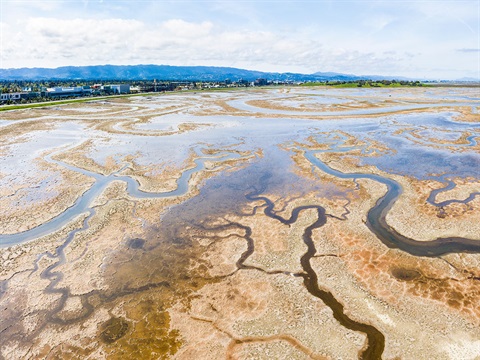 Looking-north-west-over-San-Francisco-Bay-salt-marsh-with-Menlo-Park-to-the-left-and-Bedwell-Bayfront-Park-in-the-distance-near-the-top-right.jpg