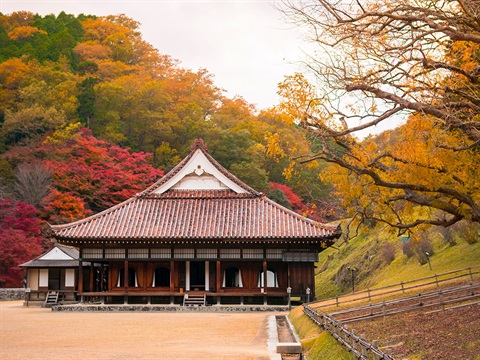 Shizutani-School-Auditorium-Bizen-Japan.jpg