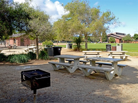 Burgess-Park-picnic-area.jpg