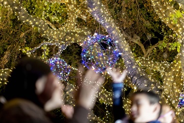 Shop Local! Light up the Season, Dec. 6, 2024