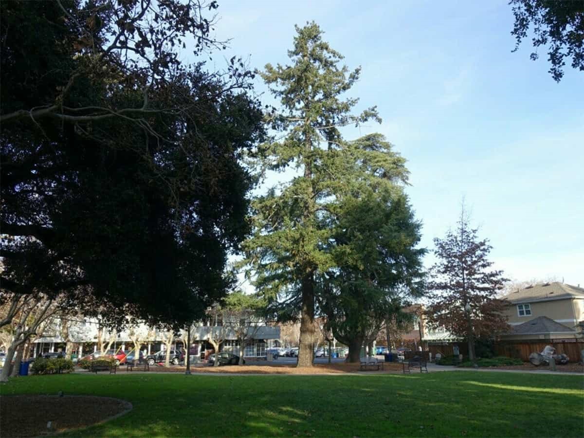 Fremont Park