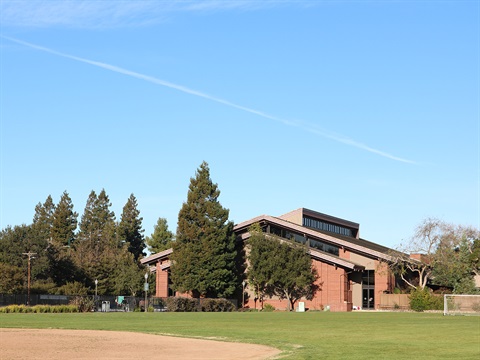 Burgess-Park-field