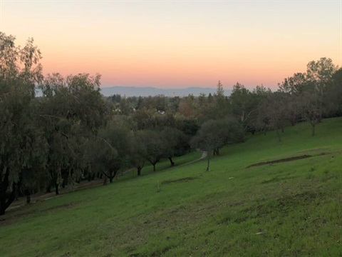 Sharon-Hills-Park-hillside-pink-sky