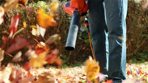 20250317Learn-about-the-Zero-Emission-Landscape-Equipment-ZELE-ordinance.png