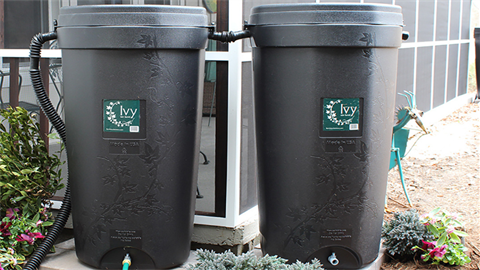rain barrel sale