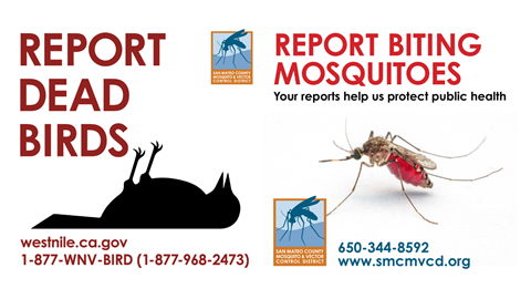 Dead crow in Menlo Park has tested positive for West Nile virus