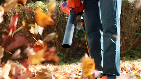 Leaves blown by leaf blower