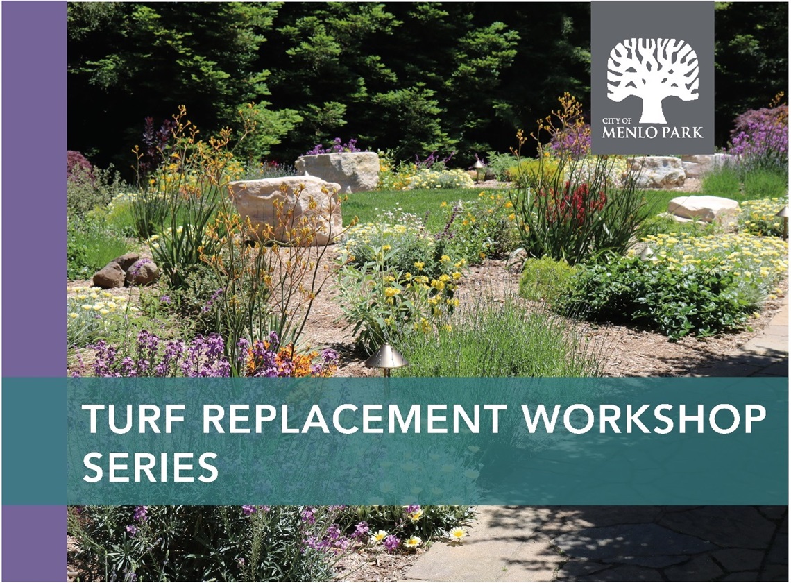 Turf Replacement Workshop Series Banner with Landscape