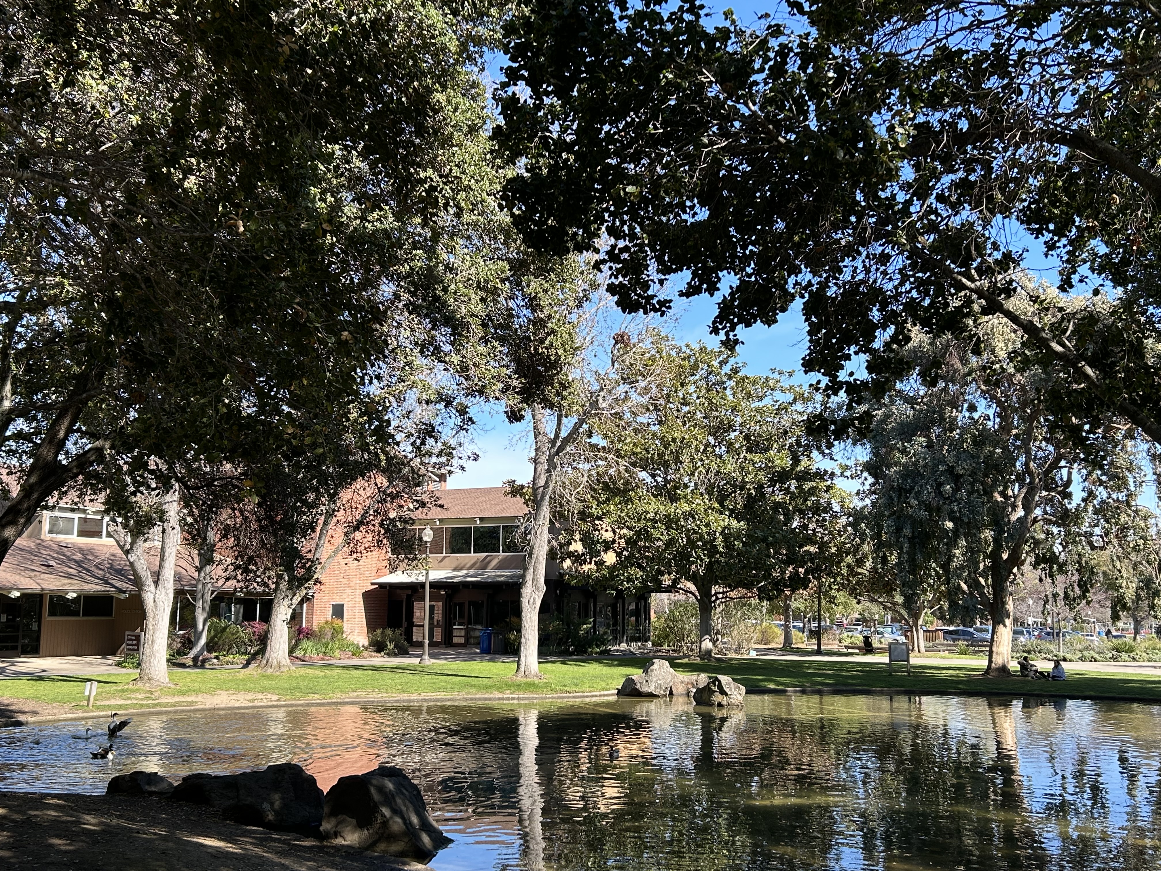 Civic Center pond with trees surrounding it and City Hall