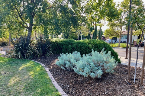 Hamilton Park5.jpg