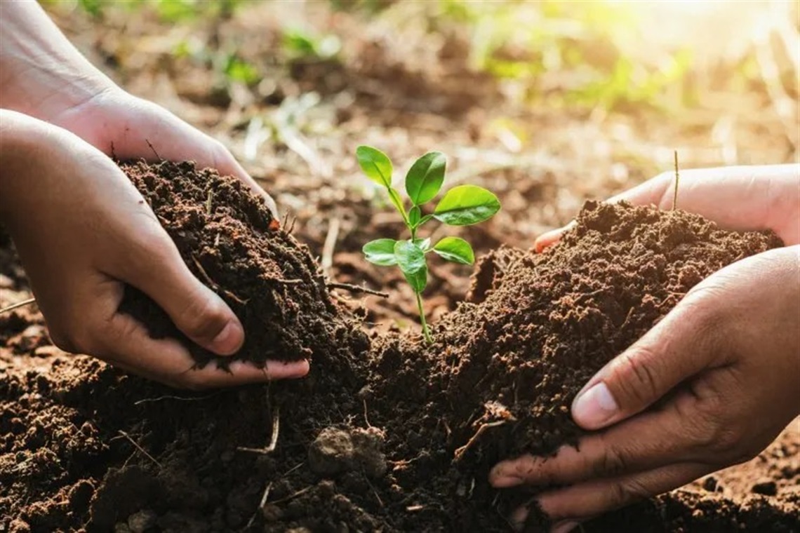 hands-in-soil.jpeg