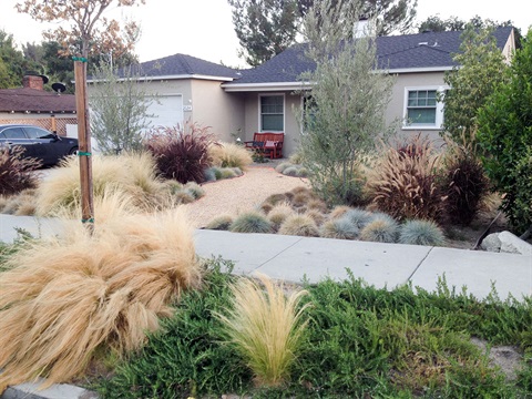 Single-family-residential-home-with-drough-tolerant-landscaping.jpg