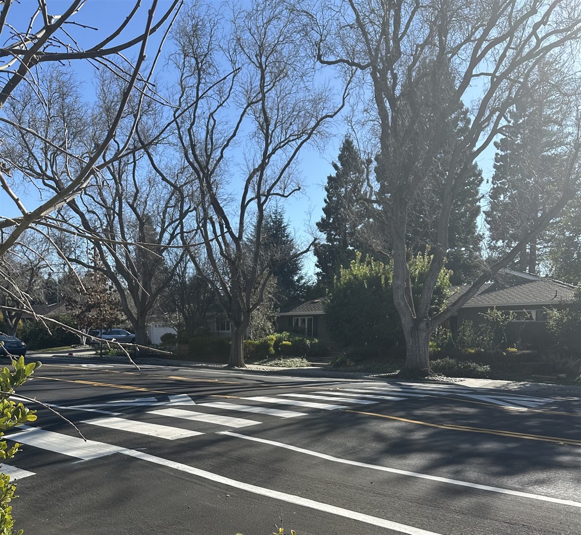 marked speed hump for slow streets