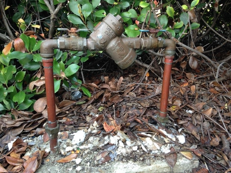 Water Qaulity.jpg