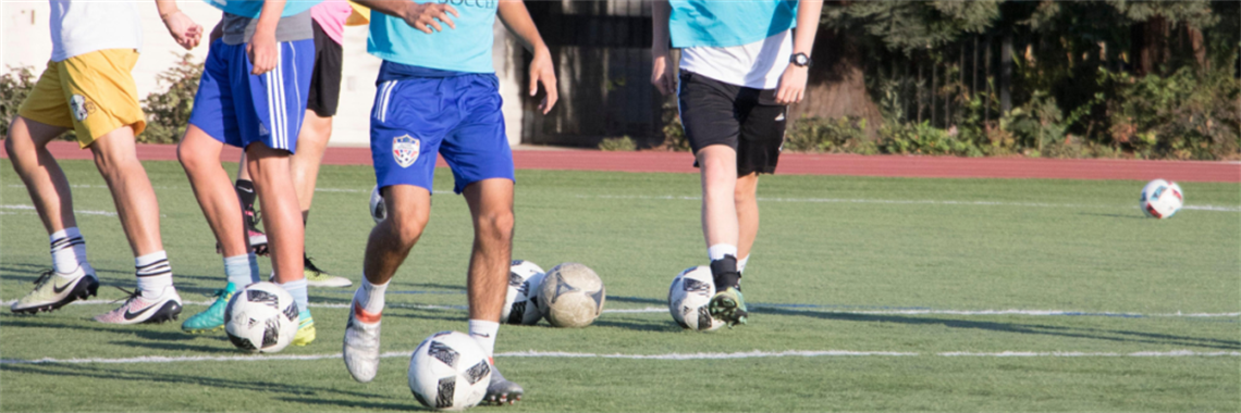 soccer-field-adults.PNG