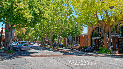 Santa Cruz Avenue